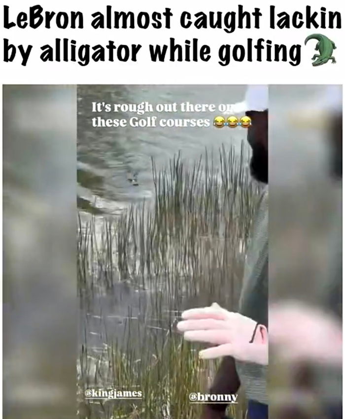 詹姆斯高尔夫球场遇鳄鱼惊险一幕引热议