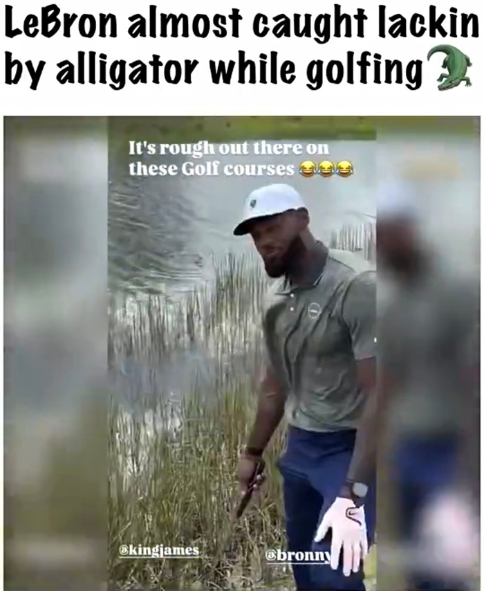 詹姆斯高尔夫球场遇鳄鱼惊险一幕引热议